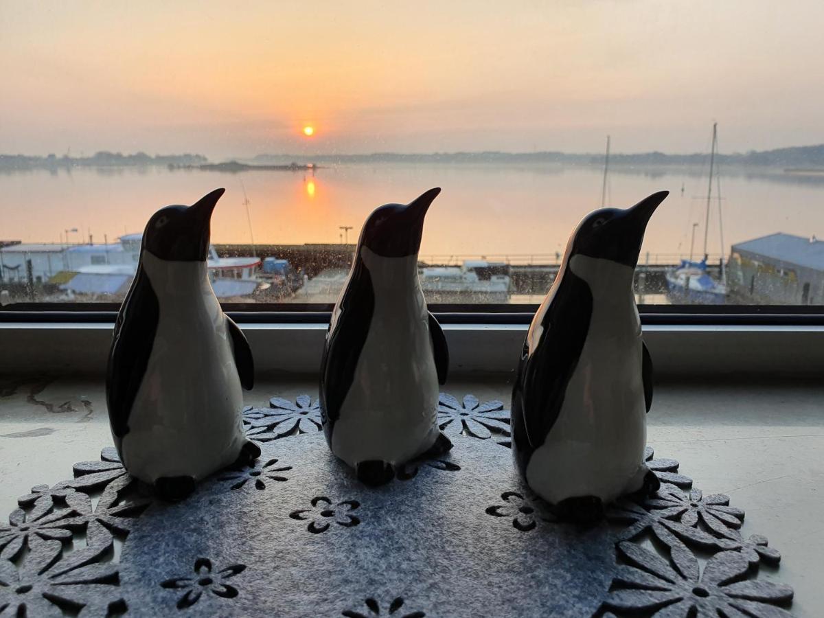Ferienwohnung Schleiloge Mit Panoramablick Auf Die Schlei ชลีสวิก ภายนอก รูปภาพ